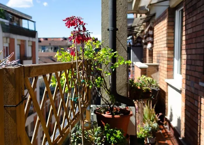 The View Apartament